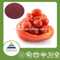 100% organic pure natural plant extract, concentrate tomato, tomato mature extract for anti-wrinkle& skin whitening